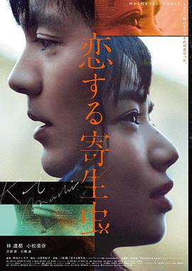 山那边的风电影海报
